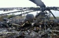 Katastrofa Mi-8 na Ukrainie