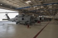 Duńskie MH-60R gotowe do odbioru