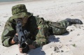 Litwa w wielonarodowych operacjach wojskowych
