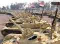 2000 T-72 dla Iraku