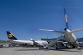 Lufthansa rozszerza zimową siatkę połączeń