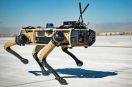Uzbrojone roboty kroczące dla US Army