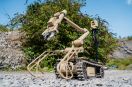 British Army zamawia roboty saperskie