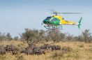 Wyniki Airbus Helicopters