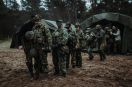 Holandia chce rozbudować armię