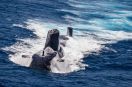 Royal Navy testowała bezzałogowce z OP