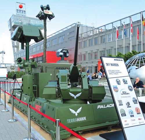 System CKYctrl Terrahawk Paladin łączy sensory do wykrywania bsl wraz z efektorami typu soft-kill i typu hard-kill, w postaci 30-mm armaty Bushmaster MK44 / Zdjęcie: Dawid Kozdra