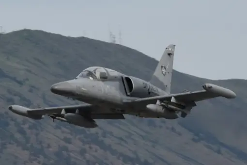L-159E ćwiczą z lotnictwem Gwardii Narodowej