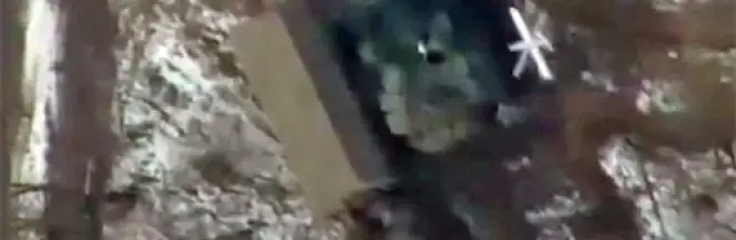 Kolejny Krab zniszczony na Ukrainie