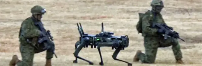 Psy roboty w japońskich ćwiczeniach