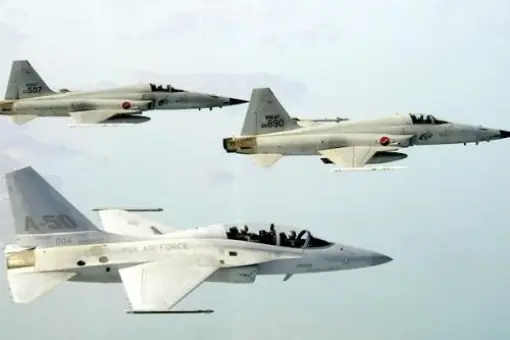 Bojowy T-50