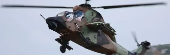 Globalne wsparcie dla Tigerów