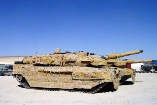 Duńczycy chcą walczyć