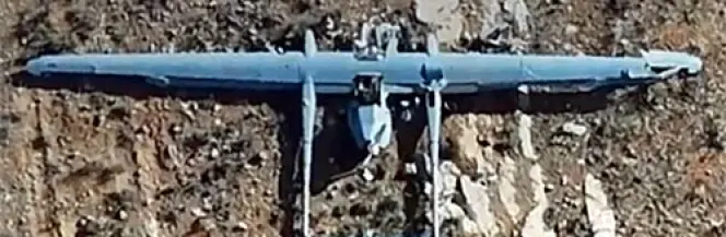 Hezbollah zestrzelił bsl Heron-1