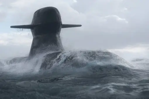 Dostawca Orki wybrany