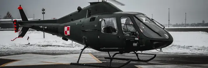 Puszczyki wspierały Horyzont