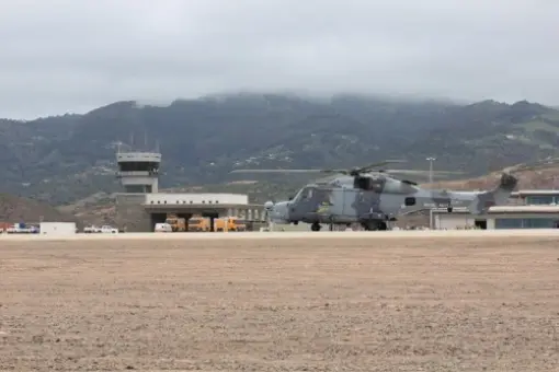 Wildcat na Wyspie Św. Heleny