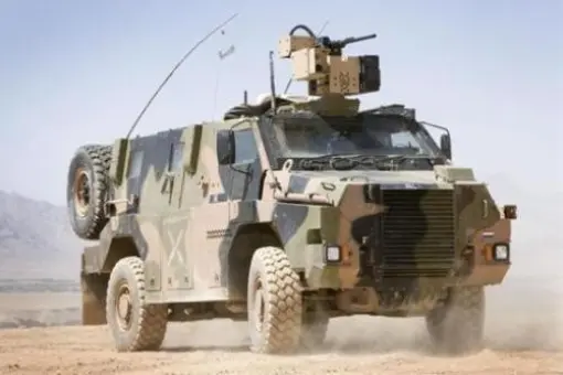 Kolejne Bushmastery dla Holandii