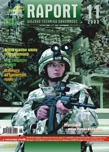 RAPORT-wto 11/2003