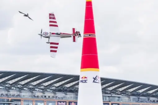 Bonhomme zwycięża w Ascot