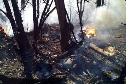 5 zabitych w katastrofie Cessny