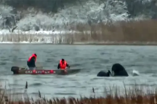 Katastrofa An-22A w Rosji