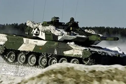 Mniejsza armia Szwecji?