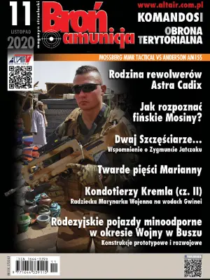 Broń i Amunicja 11/2020