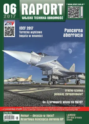 RAPORT-wto 06/2017