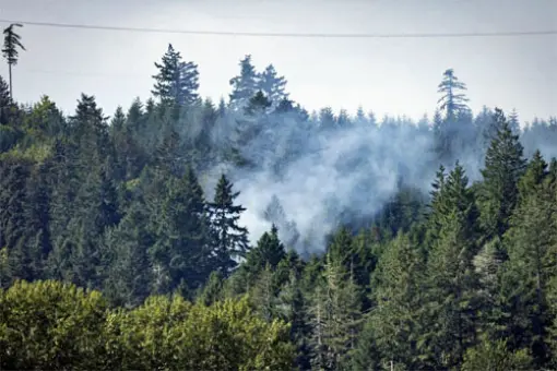 Katastrofa Black Hawka w USA