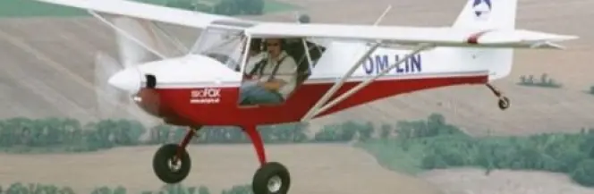 Dynamiczny rozwój LSA