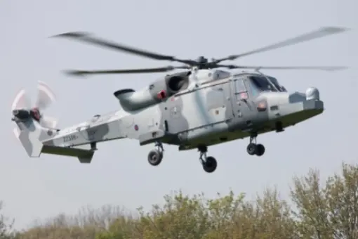 Filipiny wybiorą Wildcaty?